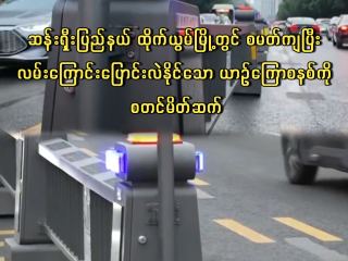 အစိမ်းရောင် ဧရာမစက်ဝိုင်းပုံစံများက မည်သည်တို့နည်း